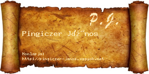 Pingiczer János névjegykártya
